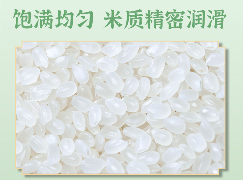安享好物 安享B级粳米-润香粮品寒地鲜米 国标