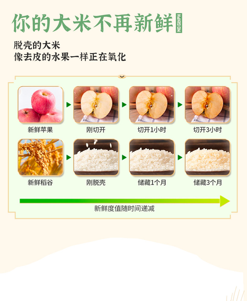 安享好物 安享B级粳米-润香粮品寒地鲜米 国标