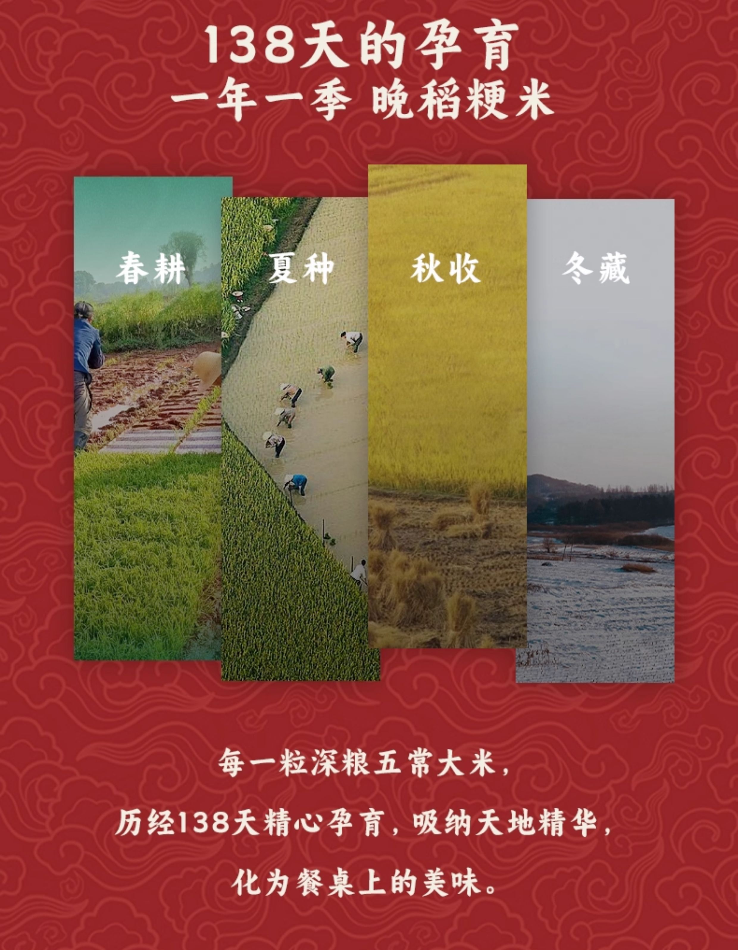 安享好物 安享A级粳米-润香粮品味稻珍五常大米 国标