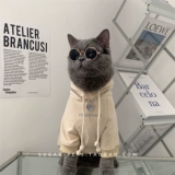 Светоотражающая демисезонная удерживающая тепло осенняя толстовка, осенний сезон, популярно в интернете