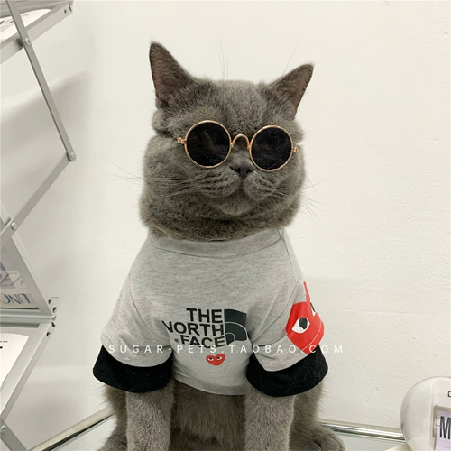 Tide Brand Pet Dog Одежда кот осенью и зимой, модный бренд британский короткий голубая кошка Biemi Bel Mei Xuenari маленькая и средняя собака