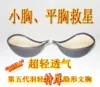 Товары от 体态美时尚店
