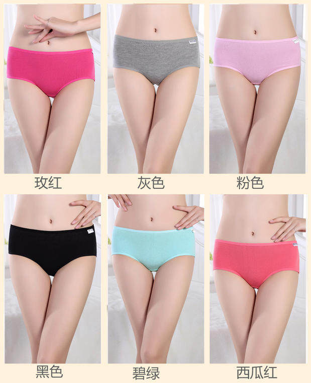 Slip jeunesse A001 en coton - Ref 654728 Image 9