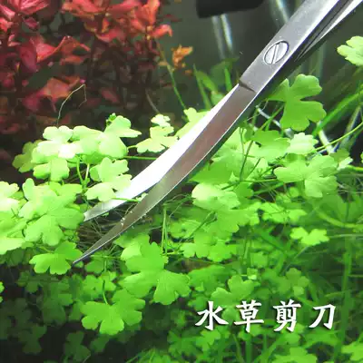 Stainless steel grass scissors foreign trade export grade 26cm straight scissors fish tank landscape pruning aquatic grass tools special price