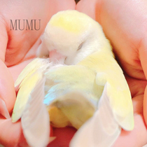 Postage supplement the price difference