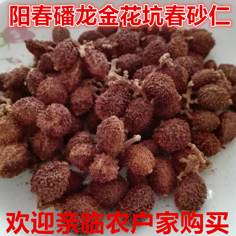 Jinhuakeng Spring sand kernels 250 grams Yangjiang Yangchun specialty Panlong sand kernels Baked Yangchun sand kernels 2020 new fruit