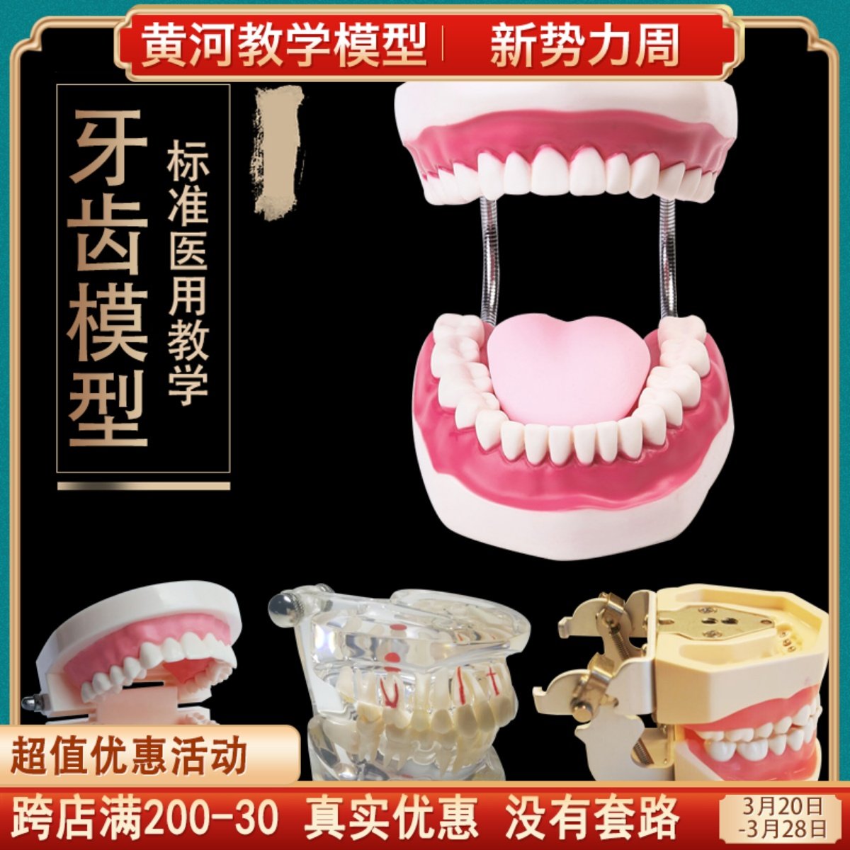 齿科材料 口腔器械器牙科材料义齿 全口牙 牙齿模型 标准模型