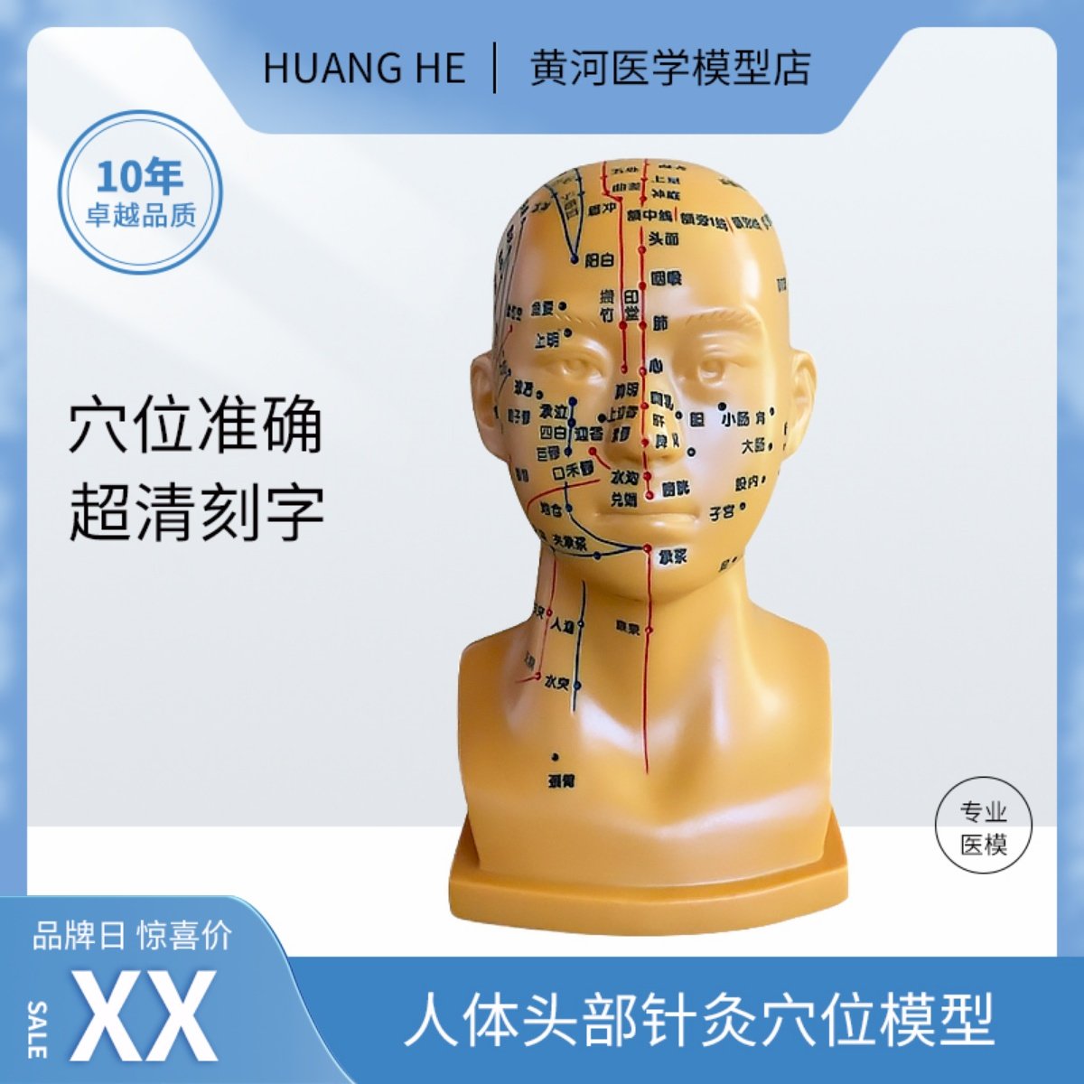 通用教学中医人体针灸穴位头部模型头模面部穴位按摩中医面部按摩