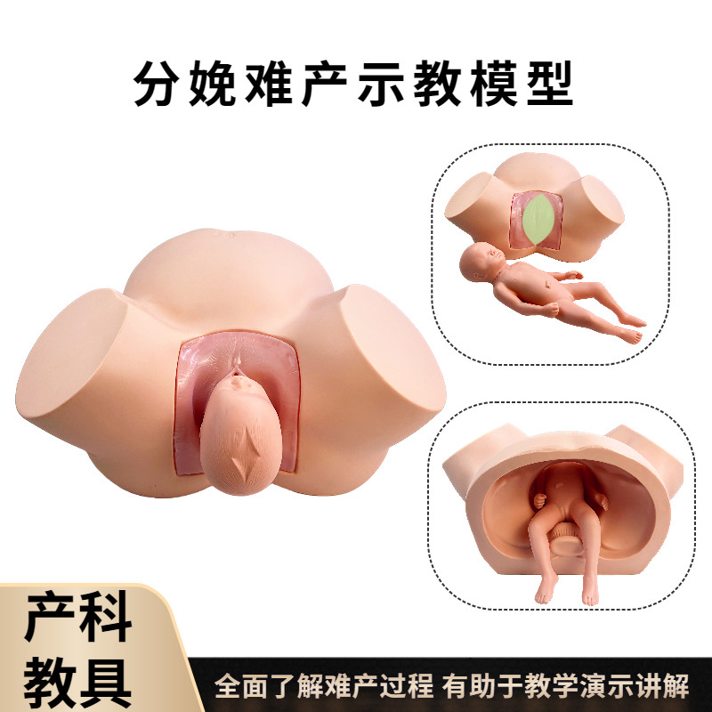 高级难产示教训练模型 孕妇难产 模型 分娩难产 模拟人 医学模型