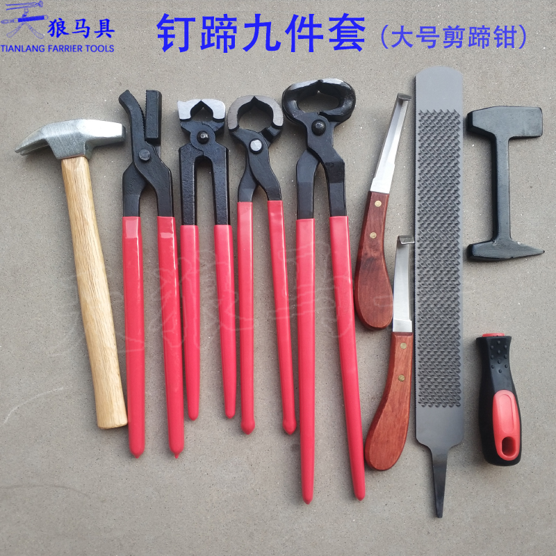 Hoof nail palm tool set horseshoe knife hoof repair tool horseshoe file scissors hoof clamp pressure nail pliers harness