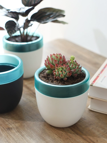 Сочный белый утолщенный полимерный пластиковый ленивый самовсасывающий горшок, автоматический водопоглощающий горшок, горшок для растений в горшке, маленький цветочный горшок