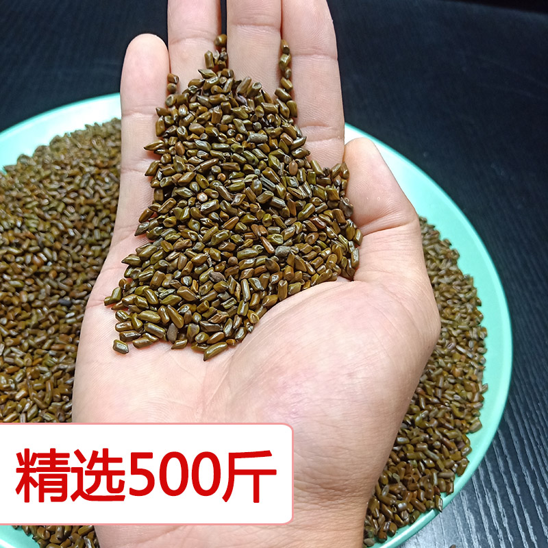 Quality Semen Cassiae 500 Catty Toy Sand Bulk Divergent Loading Children Sand Domestic Sandpool Pillow Pillow Core Health