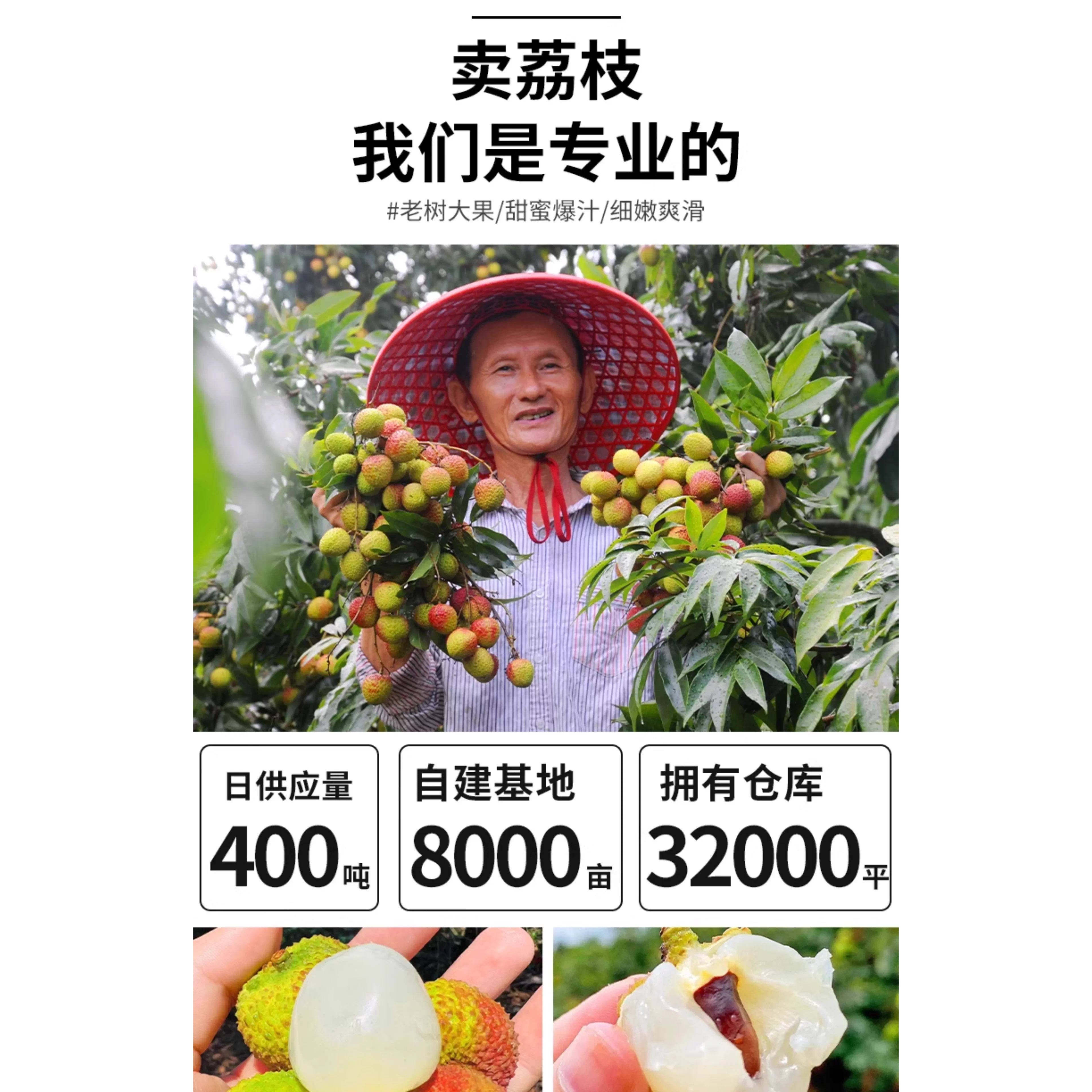 海南火山口荔枝