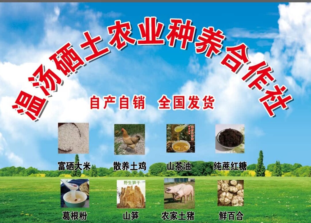 温汤富硒水果特产
