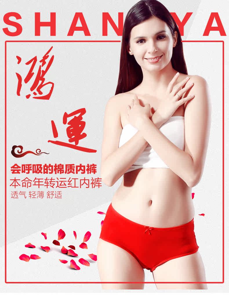 Slip jeunesse 9328-4 en coton - Ref 640977 Image 6