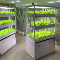Soilless cultivation equipment large three-dimensional planting frame farm balcony vegetable hydroponic equipment family plant factory