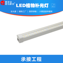 Vegetable fill light color full spectrum LED Plant home anti-disciple indoor flower imitation Sun Growth Light