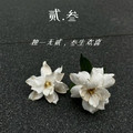 贰叁 Jewelry store
