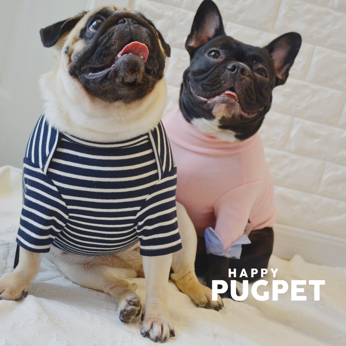 Cotton leather striped shirt French Dou Pug dog clothes Shiba Inu autumn and winter two-legged bichon christmas bottoming shirt sweater elastic