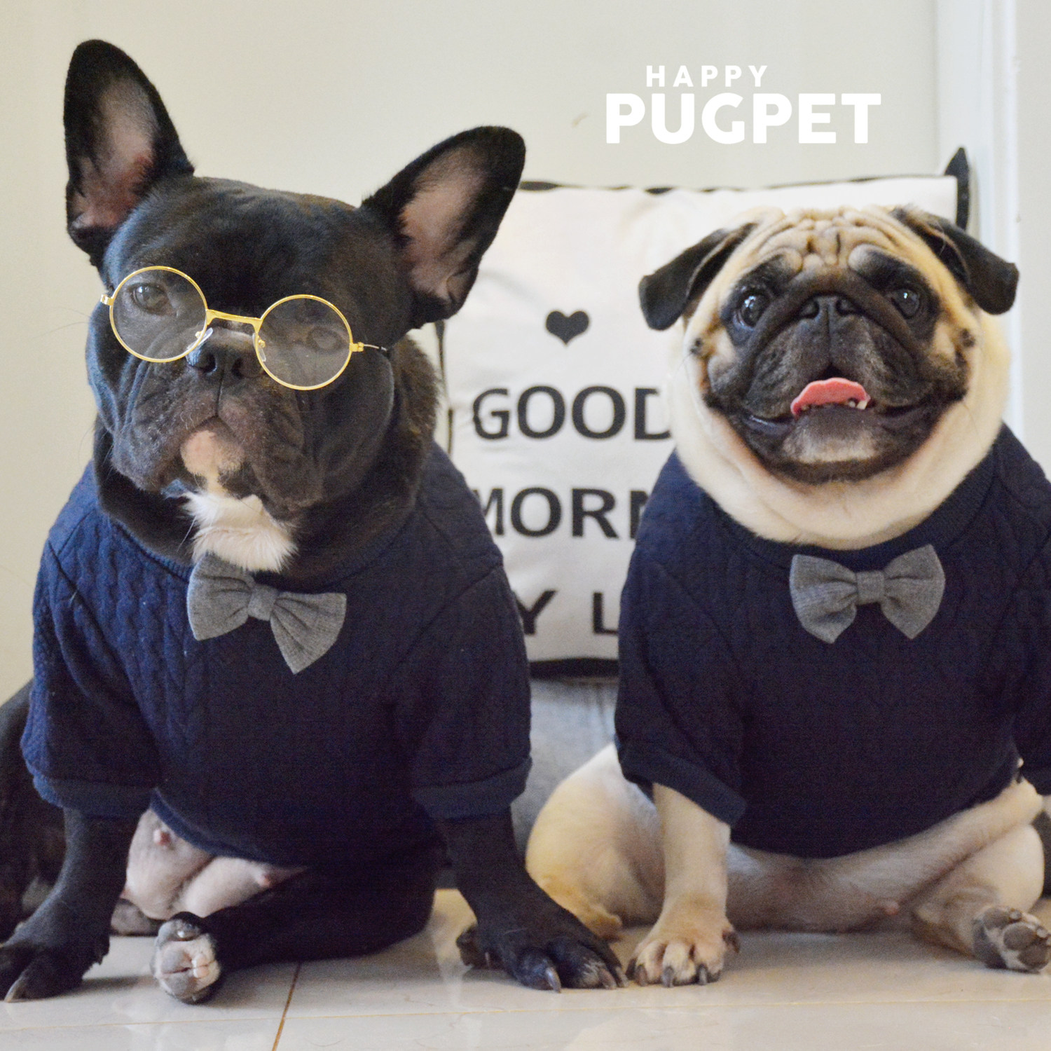 Pet Bow Tie Sweater Fat Pug Fat Dog Clothes Autumn and Winter Sweater Two Feet Corgi Shiba Inu Schnauzer Knitwear