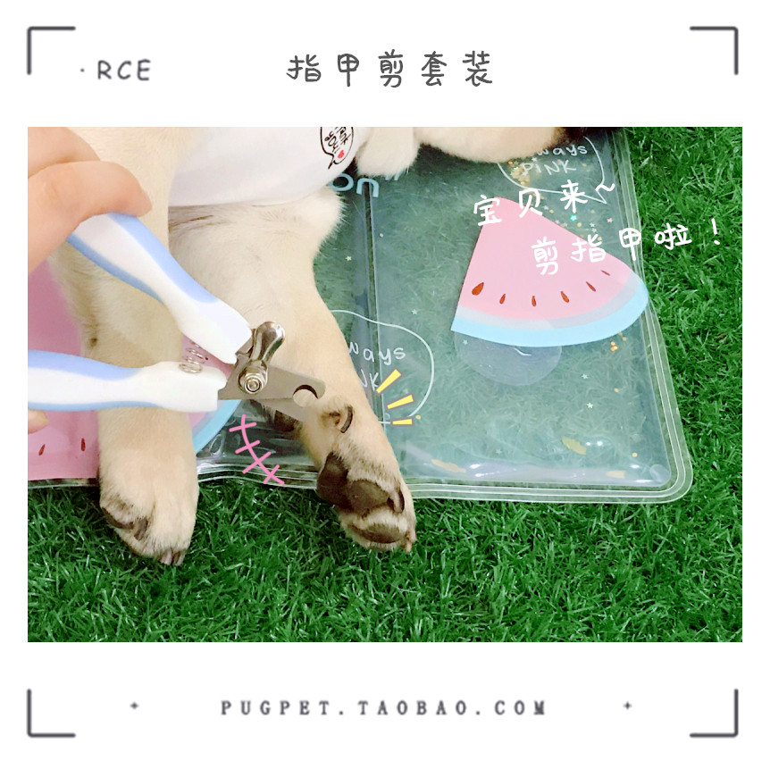 Dog nail scissors set with file Small and medium-sized dog nail clippers Pug Fadou pet supplies cleaning and grooming