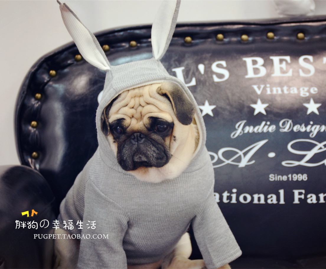 Rabbit hat knitted sweater large size pug French sweater Corgi Shiba Inu sweater autumn and winter clothes two-legged pet clothes fat dog