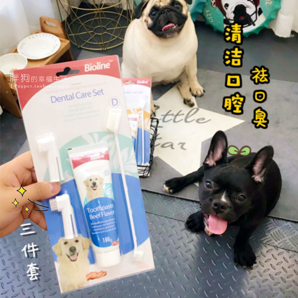 Bioline Dog Toothpaste Toothbrush Set Bago Fadou Deodorization Detartar Calculus Pet Teeth Brushing Supplies