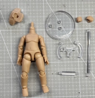 Ежедневное жареное пигментное пигментное тело+поддержка лапши