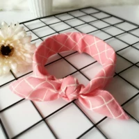 Арбуз красная сетка