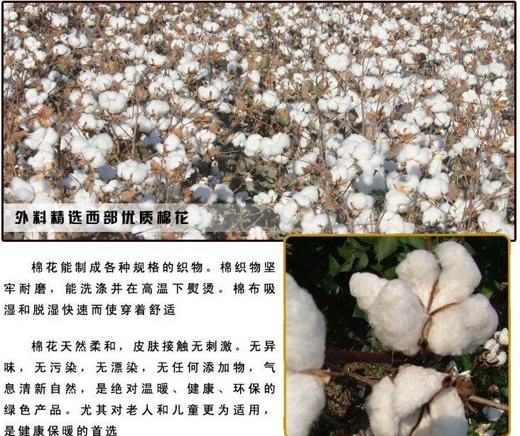 Pantalon pyjama jeunesse - Ref 716453 Image 27