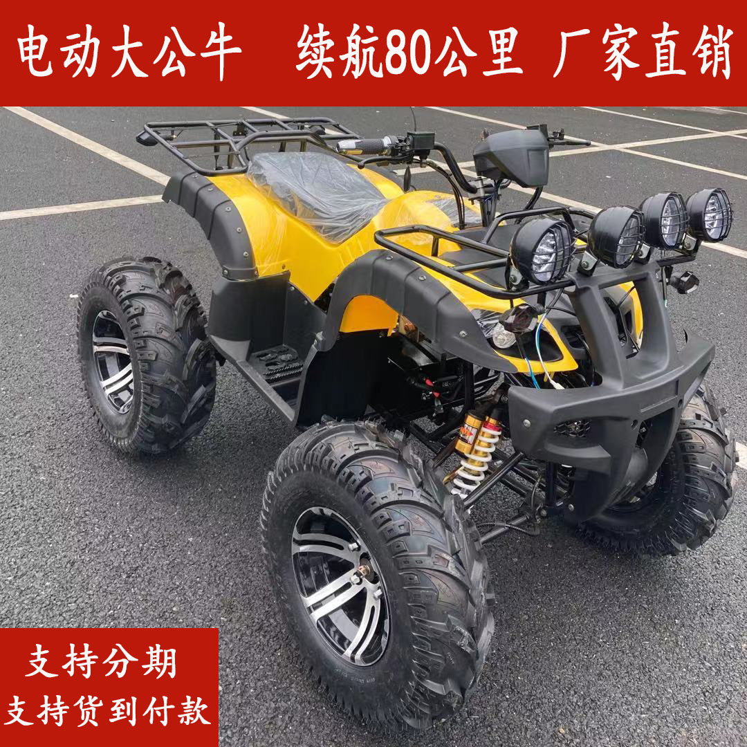 Big Bull ATV Electric Quad Motocross Small Electric Bike Charged 48V-60V-72V Rental