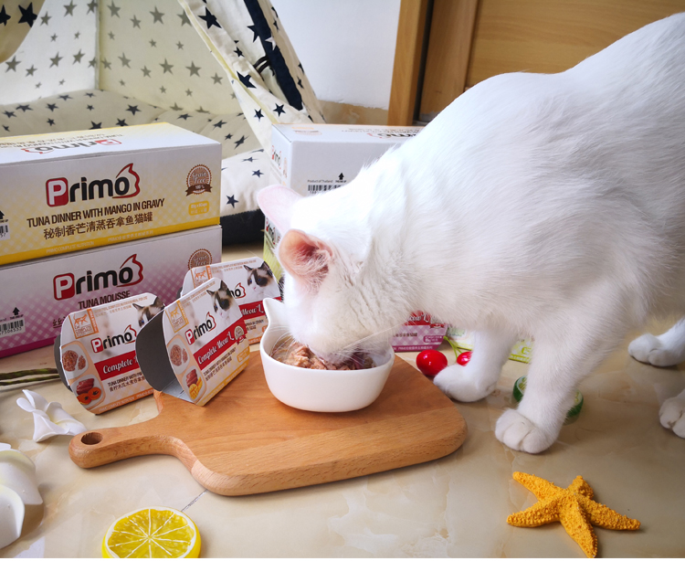 . 	đồ ăn vặt cho mèo con