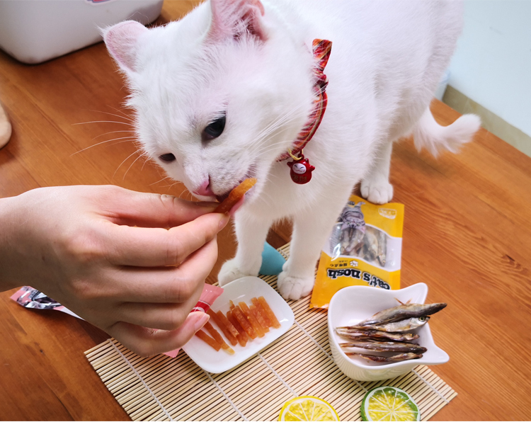 Nhật ký mèo con trắng | Hearty ngon mèo nhỏ cá khô gà dải mèo ăn nhẹ mèo mèo ăn nhẹ hạt tốt cho mèo