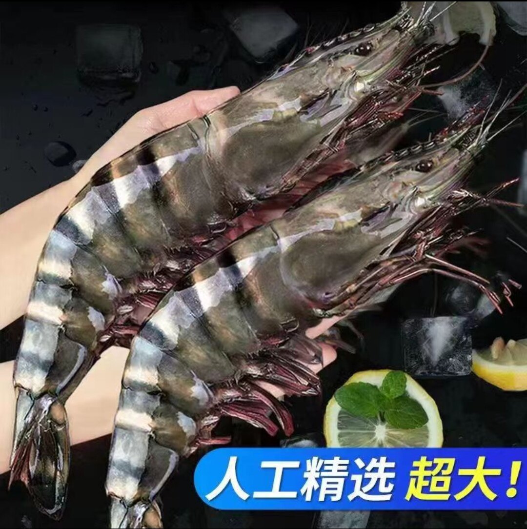小楠海鲜产地严选