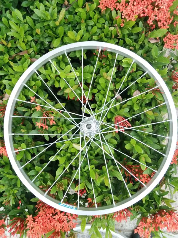 Roues de vélo - Ref 2375474 Image 11