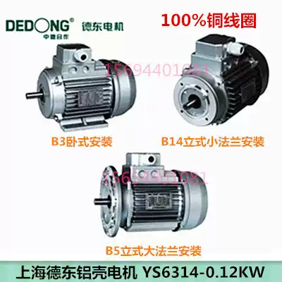 YS6314-0 12KW Shanghai Dedong aluminum shell three-phase asynchronous motor 4 pole 120W horizontal vertical national standard all copper