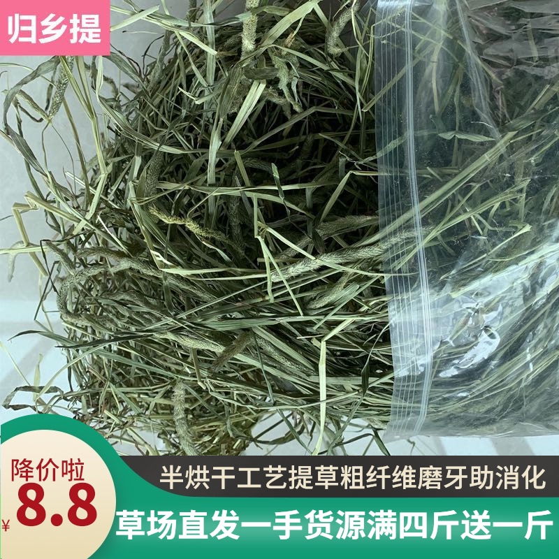 Timothy grass Gansu Minxian homecoming semi-dried grass Guinea pig food grain Guinea pig feed North dried grass