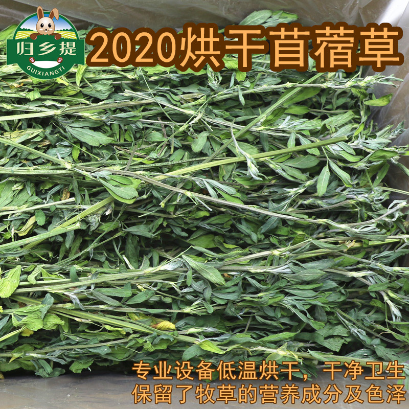 21 years old alfalfa baby rabbit hay rabbit food twilight grass totoro feed pet snack guinea pig grass homecoming