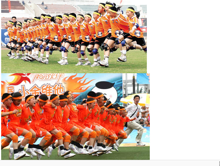 Protection sport - Ref 586854 Image 13