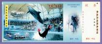 0788 old ticket collection-Hebei Qinhuangdao Dolphin Performance Hall horse postage tickets-punch good