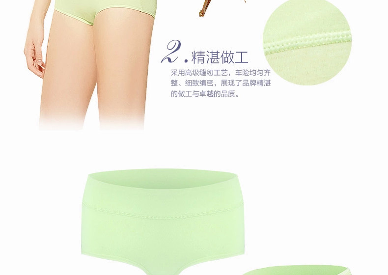 Slip Moyen-âge HODO HDBK502 en coton - Ref 666809 Image 11