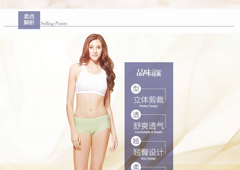 Slip Moyen-âge HODO HDBK502 en coton - Ref 666809 Image 9