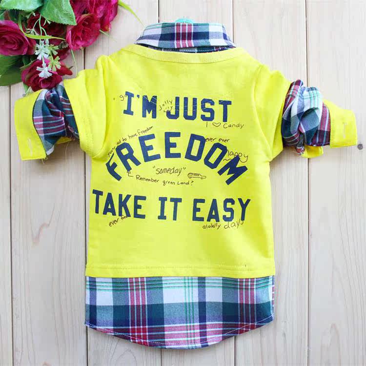 Chemise garcon à manche longue - Ref 2079324 Image 12