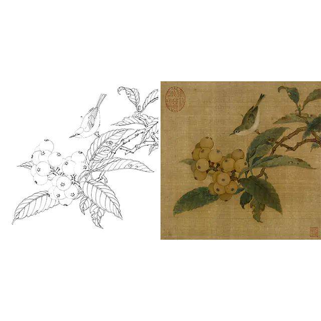 Ink and wash lotus and bird song painting white draft manuscript-Song Linchun loquat mountain bird map beginners high-definition physical print