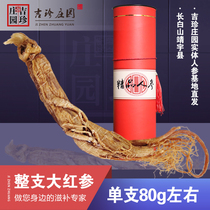  Jizhen Manor 10-year root red ginseng Korean ginseng Single red ginseng Red ginseng gift box gift can about 80g