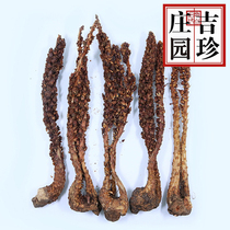  Jizhen Manor entity direct sales Changbai Mountain evergreen grass Cistanche original ecological stewed chicken soup soaked wine material