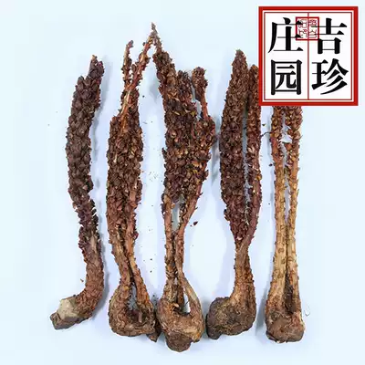 Jizhen Manor entity direct sales Changbai Mountain evergreen grass Cistanche original ecological stewed chicken soup soaked wine material