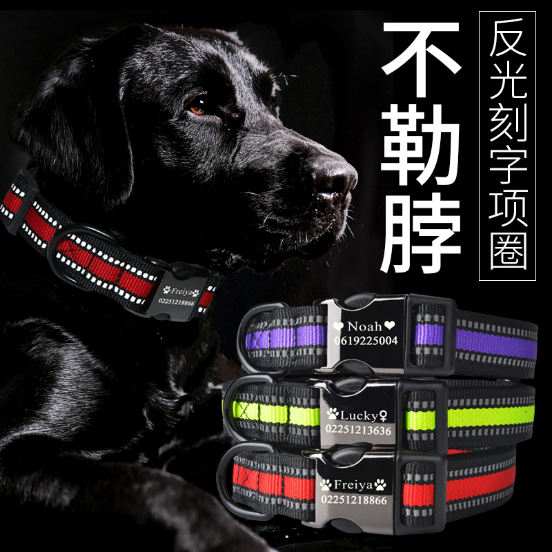 Dog Item Circle Lettering Custom Large Dog Middog Border Shepherd Dog Golden Hair Large Dog Neck Ring Pet Reflective Neck Ring Adjustable