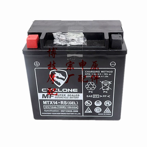 宗申 Sacon Series RX3S RX1 RX4 RZ3S RG3 RG3 RG3 RE3RT3 Оригинальная батарея аккумулятора
