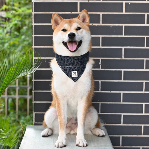 芮柴 Треугольный шарф воротник поводки японская домашняя собака кот Шиба Ину шея ворога Лаза